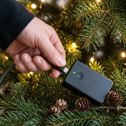 Smart Animated Christmas Tree Lights